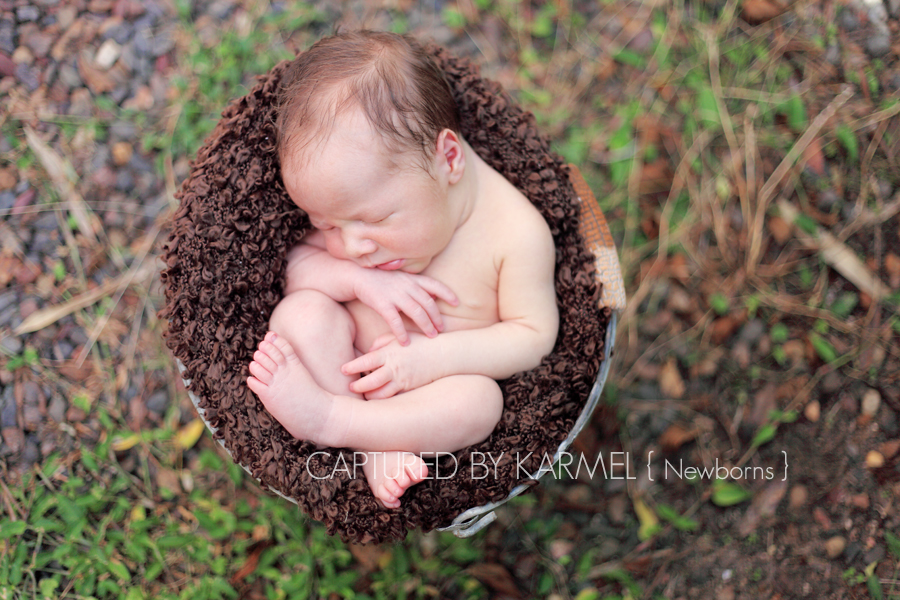 Central Coast NSW Newborn Photographer | Captured by Karmel