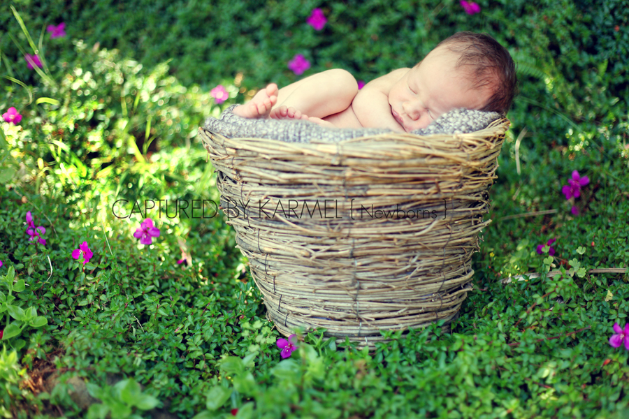 IMG_2165 1 professional newborn photographer sydney nsw