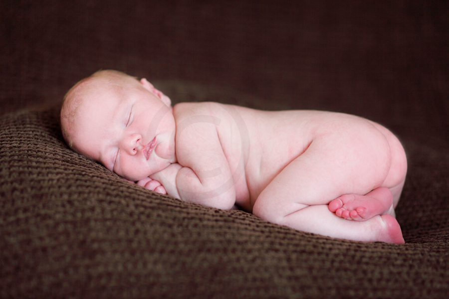 Central Coast NSW Newborn Photographer