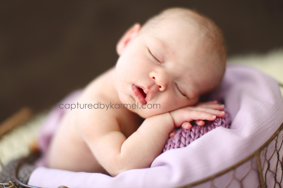 Gabriella {Day 14}