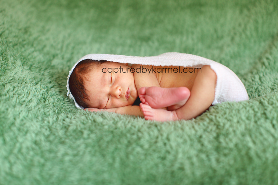 Toby | Central Coast NSW Newborn Photographer | Captured by Karmel