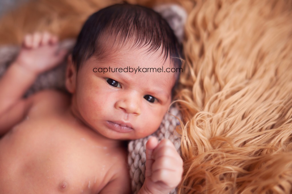 Sydney Newborn Photographer