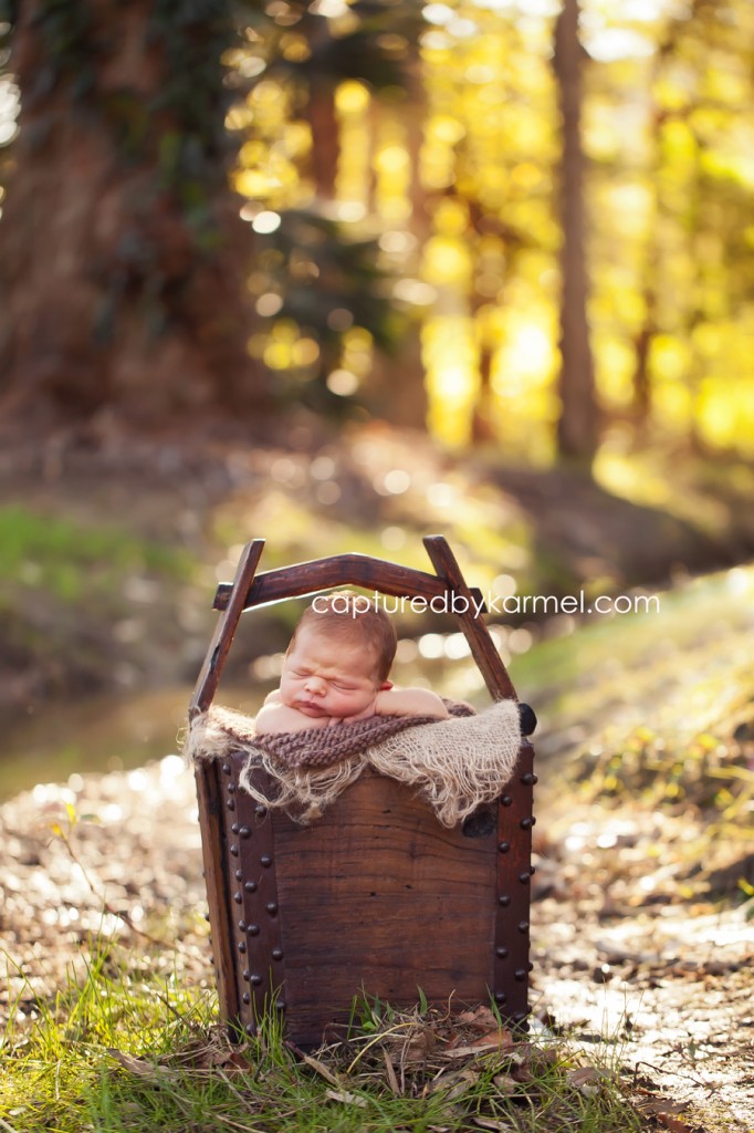 Newborn Photgrapher in Sydney NSW