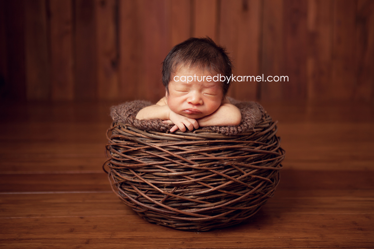 Sydney newborn photographer