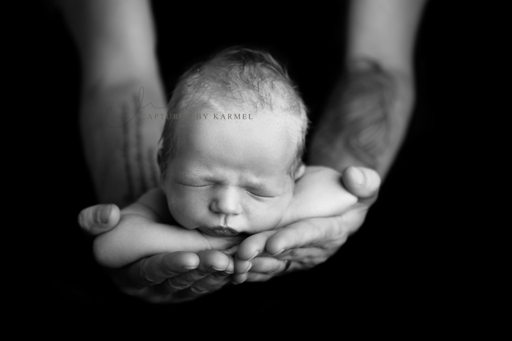 newborn dog photography