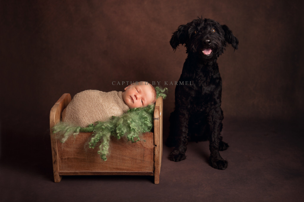 newborn photography dog