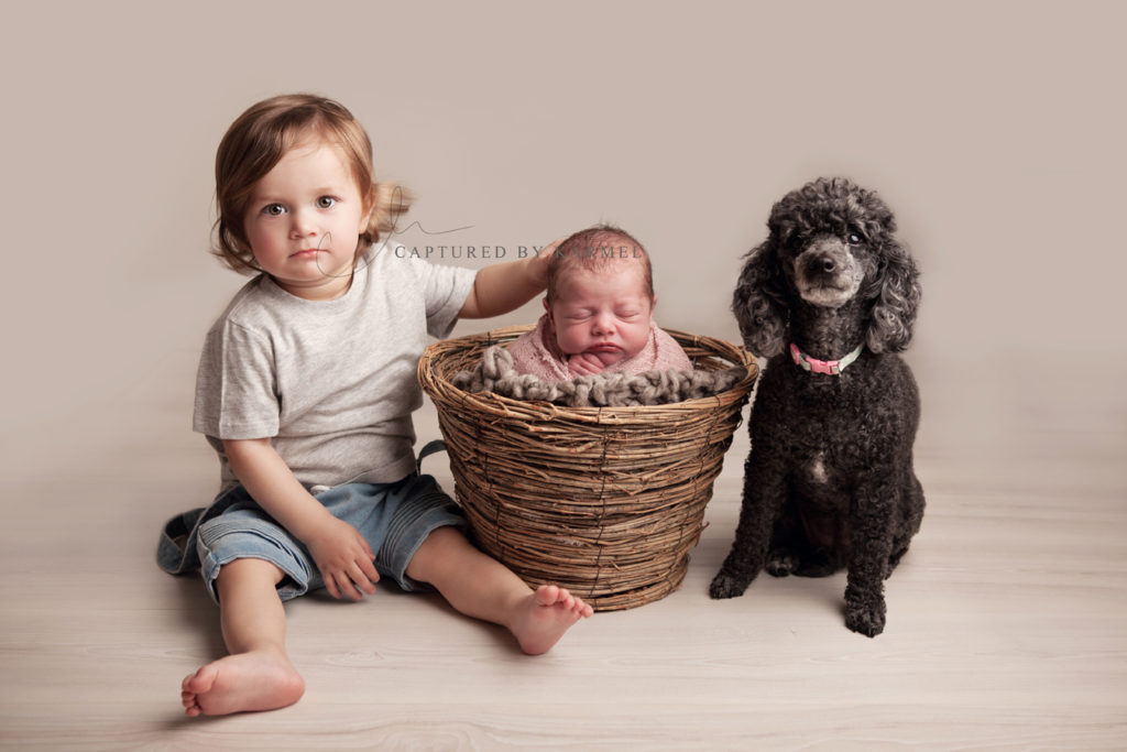 newborn photo sibling dog portrait in basket