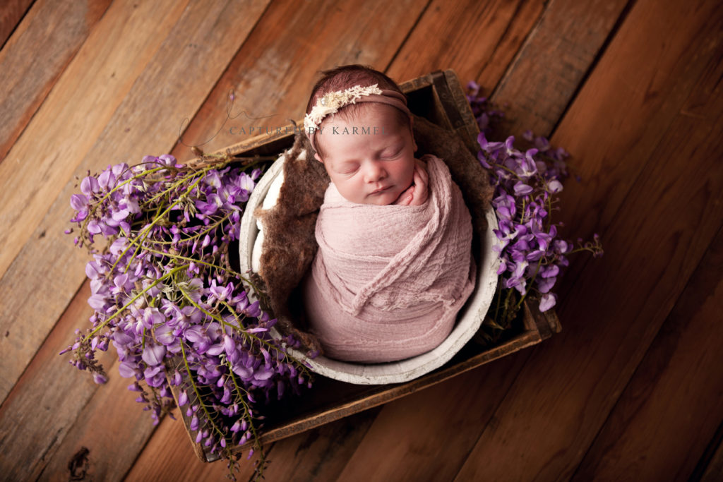 newborn portrait purple flowers