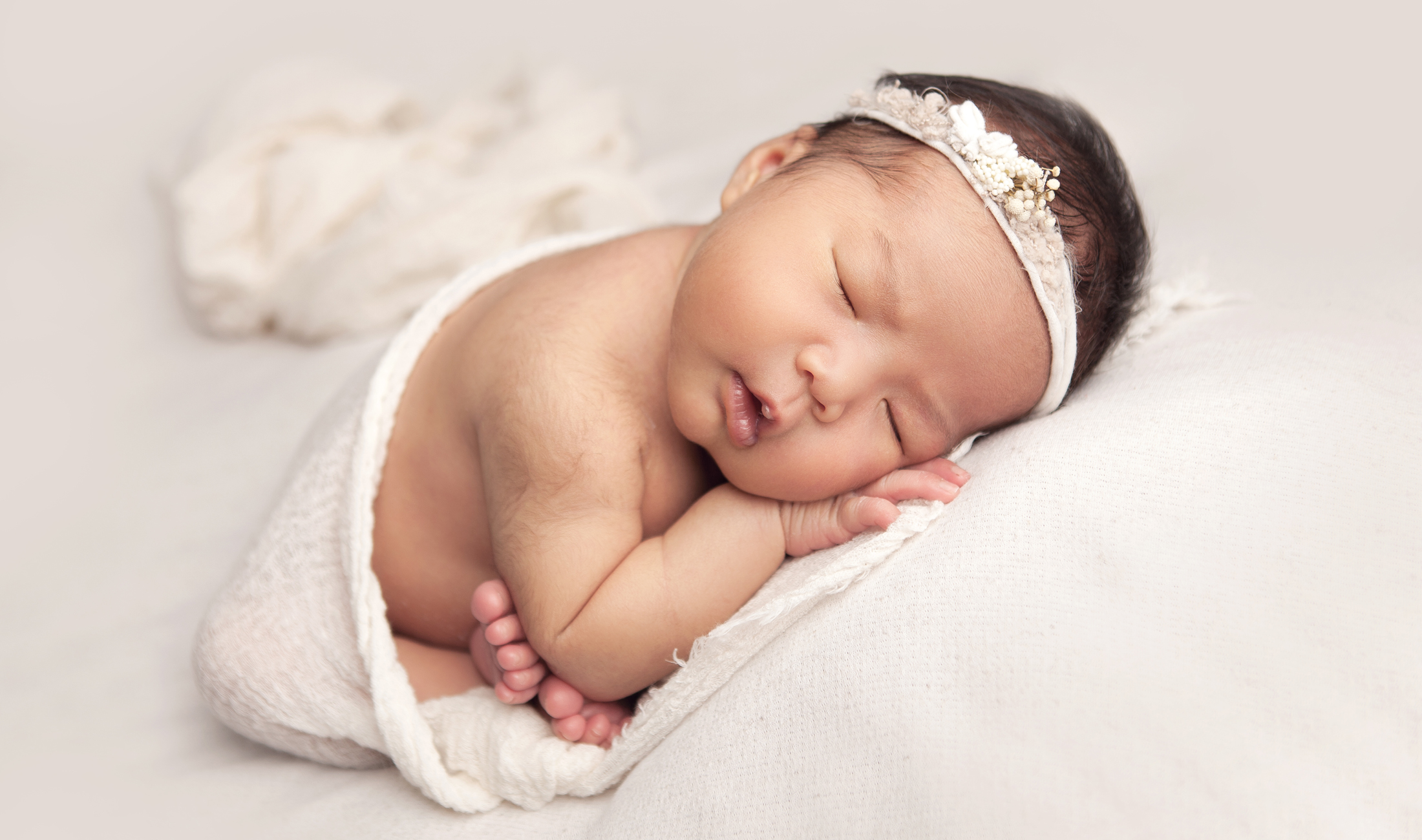 header image newborn photo shoot nsw