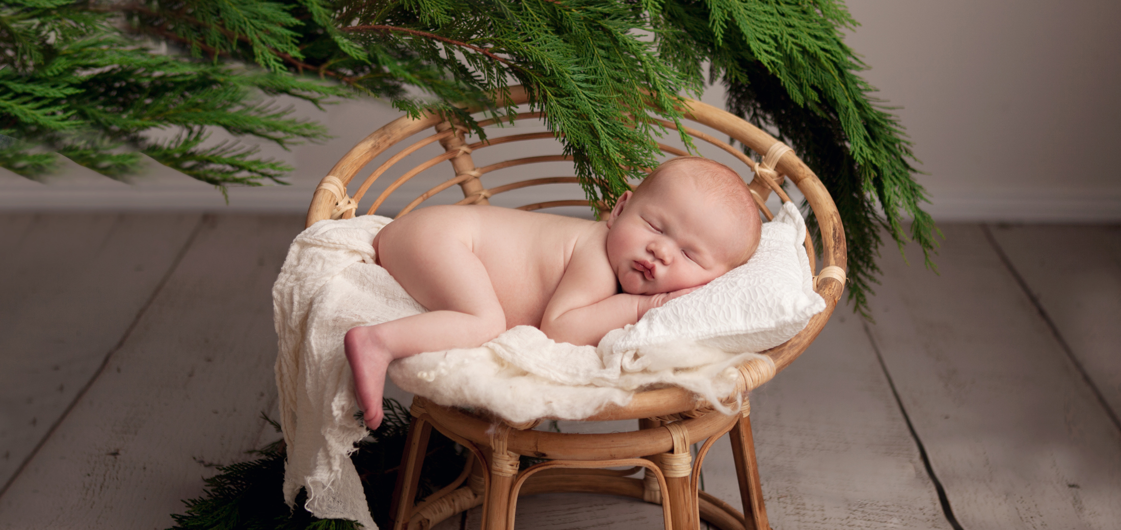 newborn photo studio portrait studio nsw