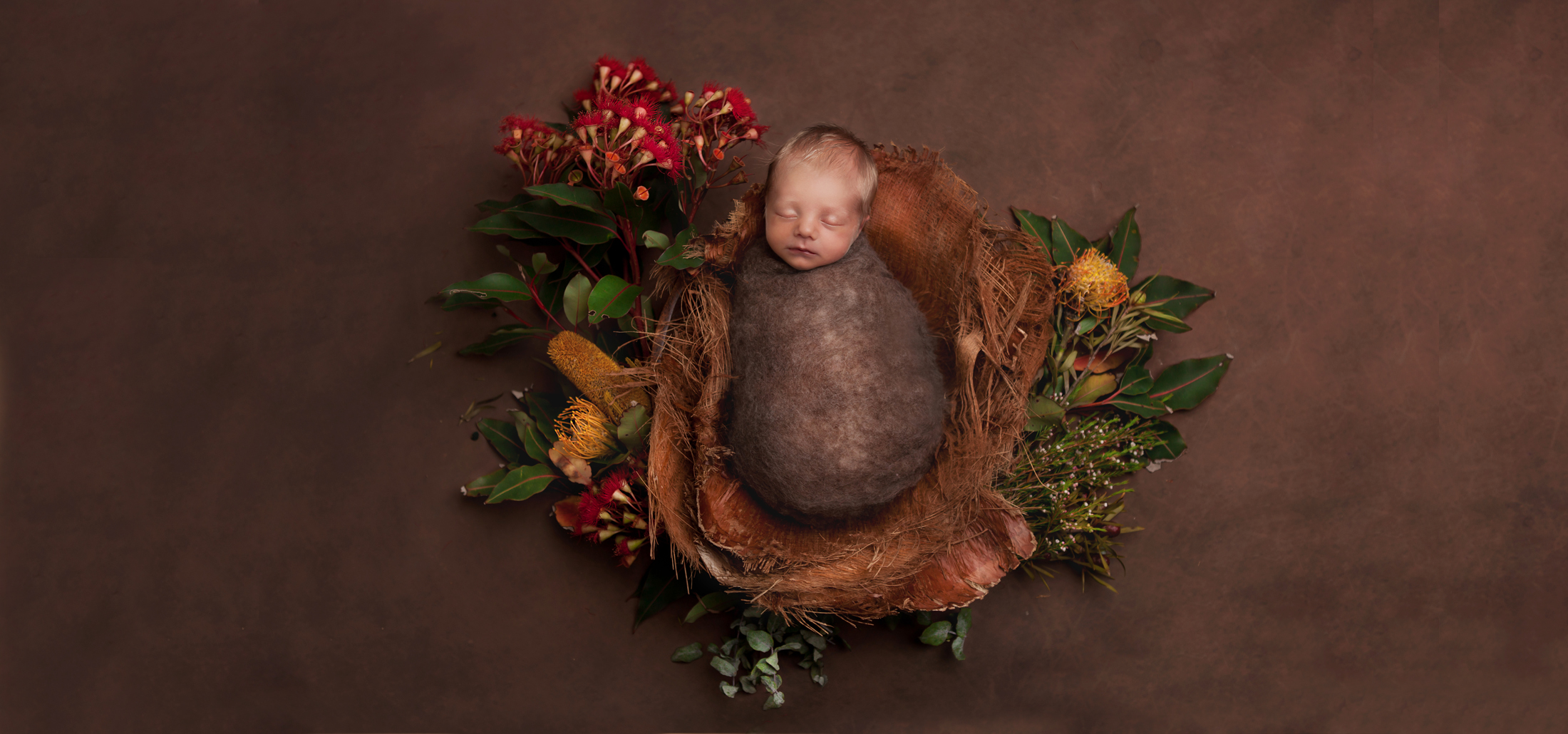 photoshoot newborn central coast newborn photography