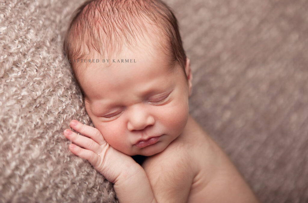 Newborn and dog photography