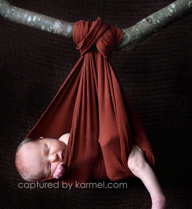 Ebony, day 8| Central Coast NSW Newborn Photographer